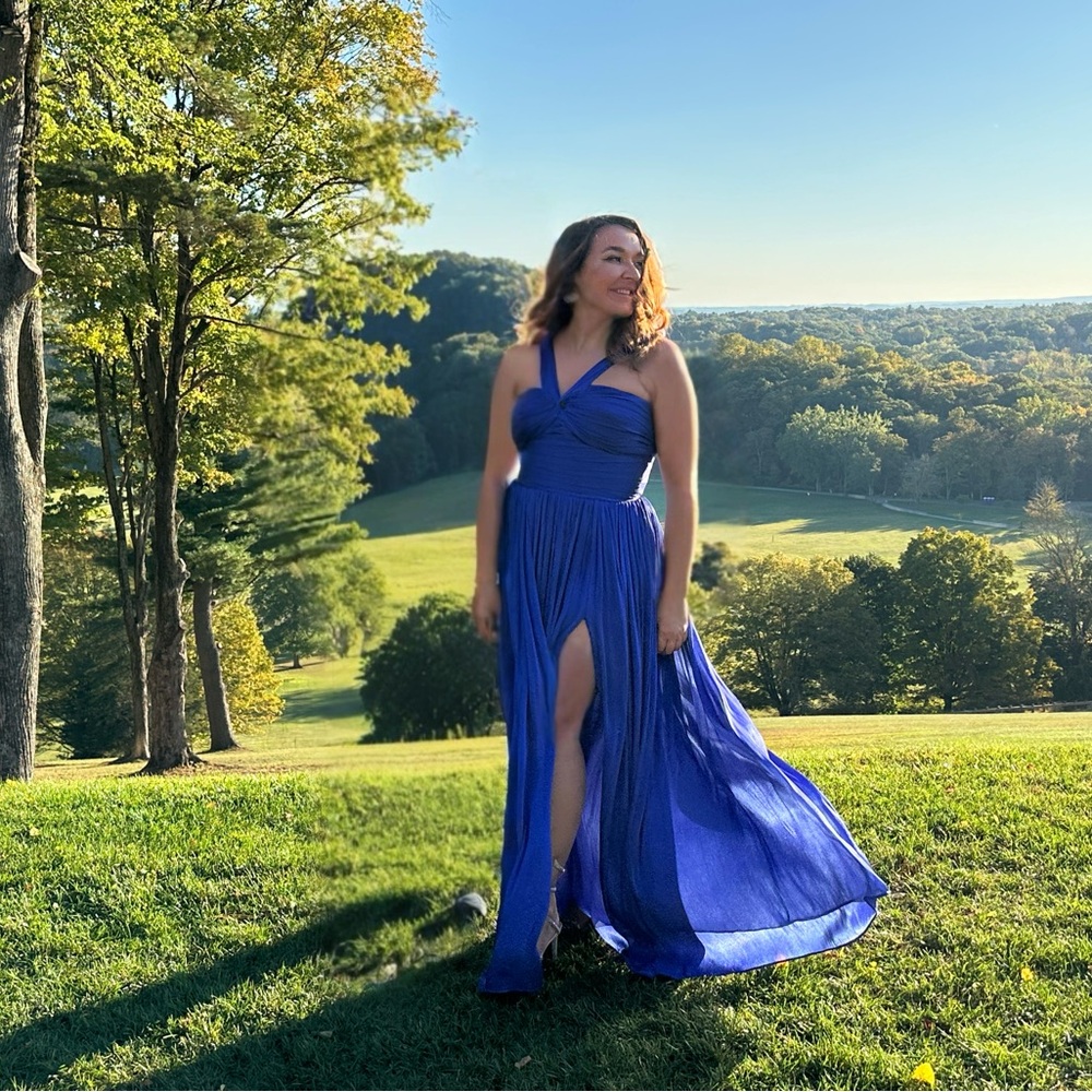 COSTARELLOS
Cavana lurex georgette dress